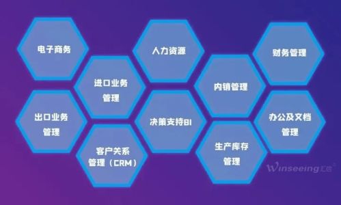 匯信軟件榮獲殊榮 入選山東省優秀軟件企業，標志性產品與服務雙豐收